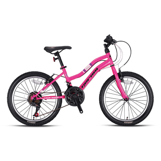 Mountainbike Graceful SWAN LADY 20 inch Mountainbike Graceful SWAN LADY 20 inch